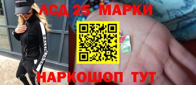 гашик Тверь