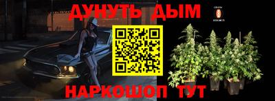 гашик Тверь