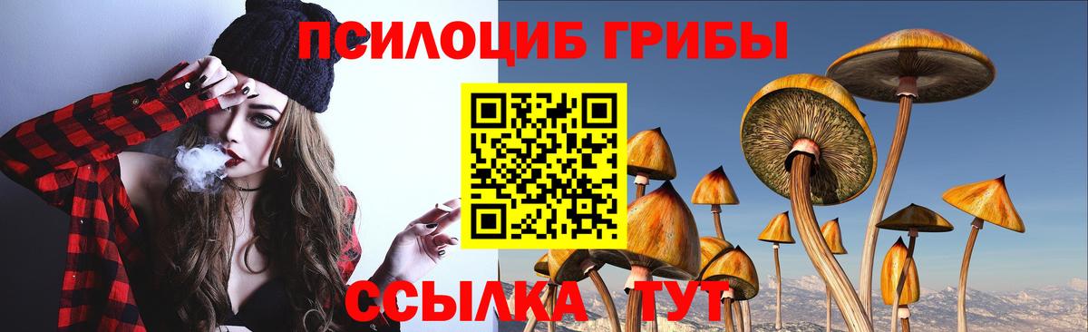 Псилоцибиновые грибы MAGIC MUSHROOMS Нижний Тагил